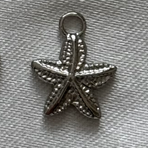 Bedel (16) - zilver